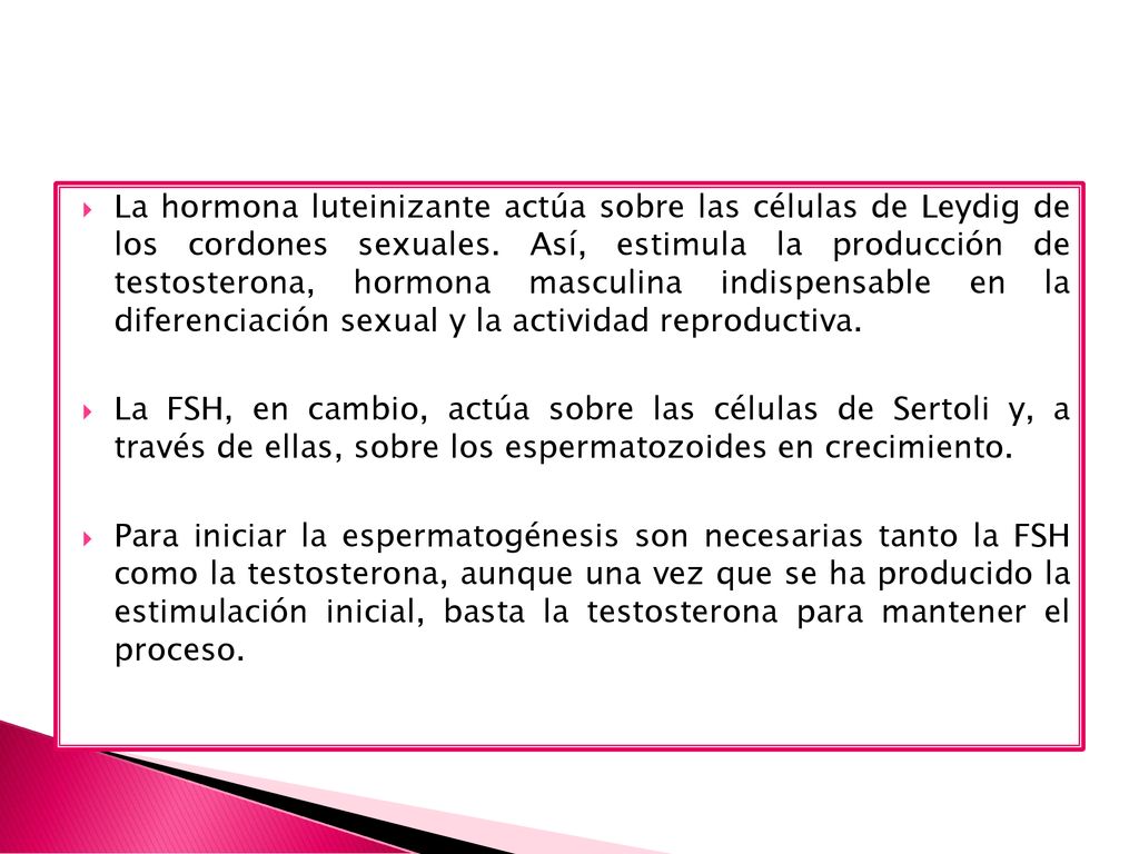 La hormona luteinizante actúa sobre las células de Leydig de los cordones sexuales. Así, estimula la producción de testosterona, hormona masculina indispensable en la diferenciación sexual y la actividad reproductiva.