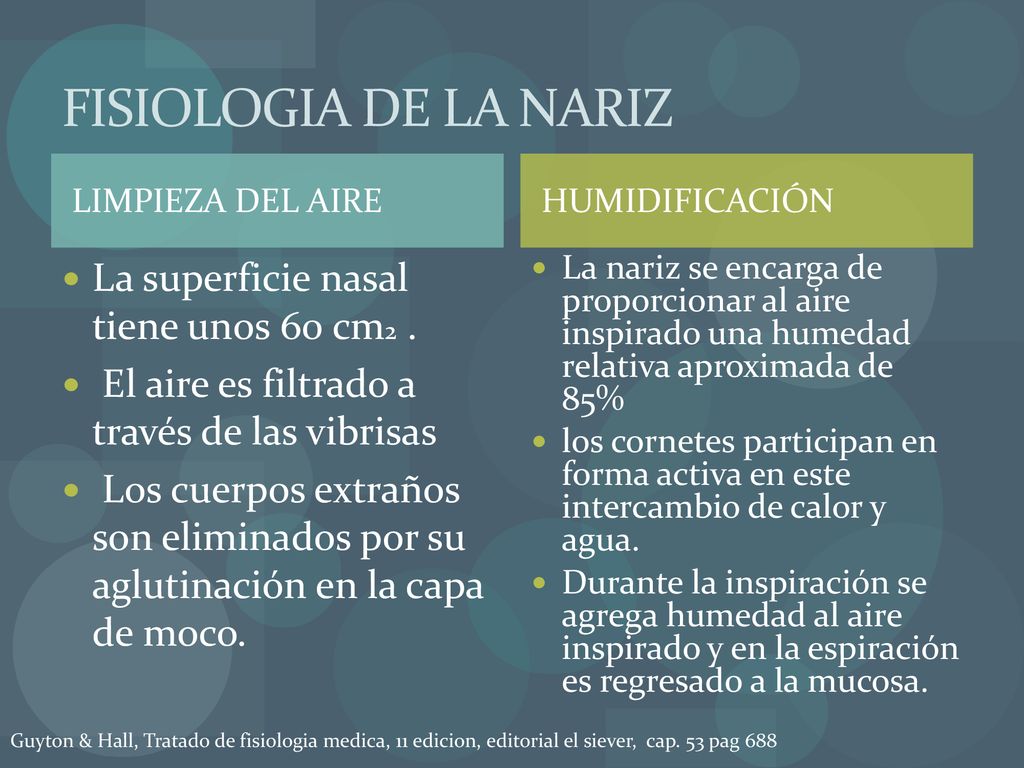 FISIOLOGIA DE LA NARIZ La superficie nasal tiene unos 60 cm2 .