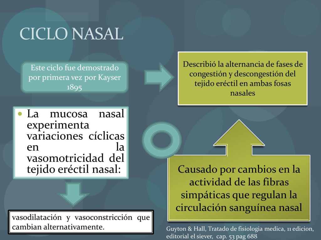 Este ciclo fue demostrado por primera vez por Kayser 1895