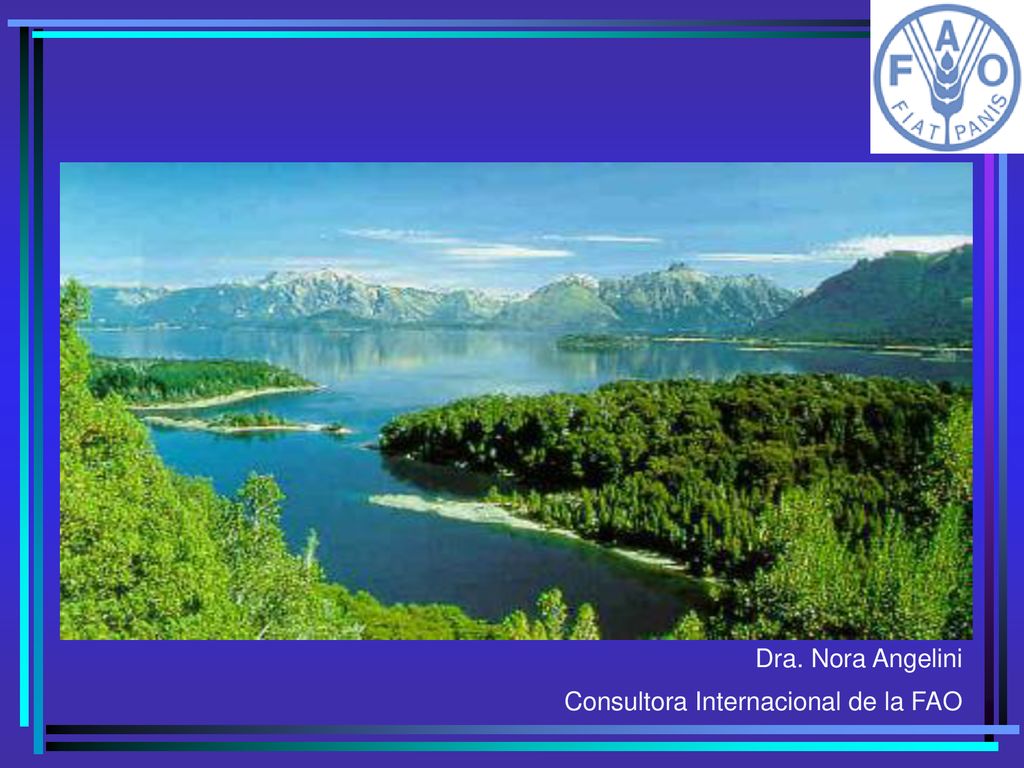 Dra. Nora Angelini Consultora Internacional de la FAO