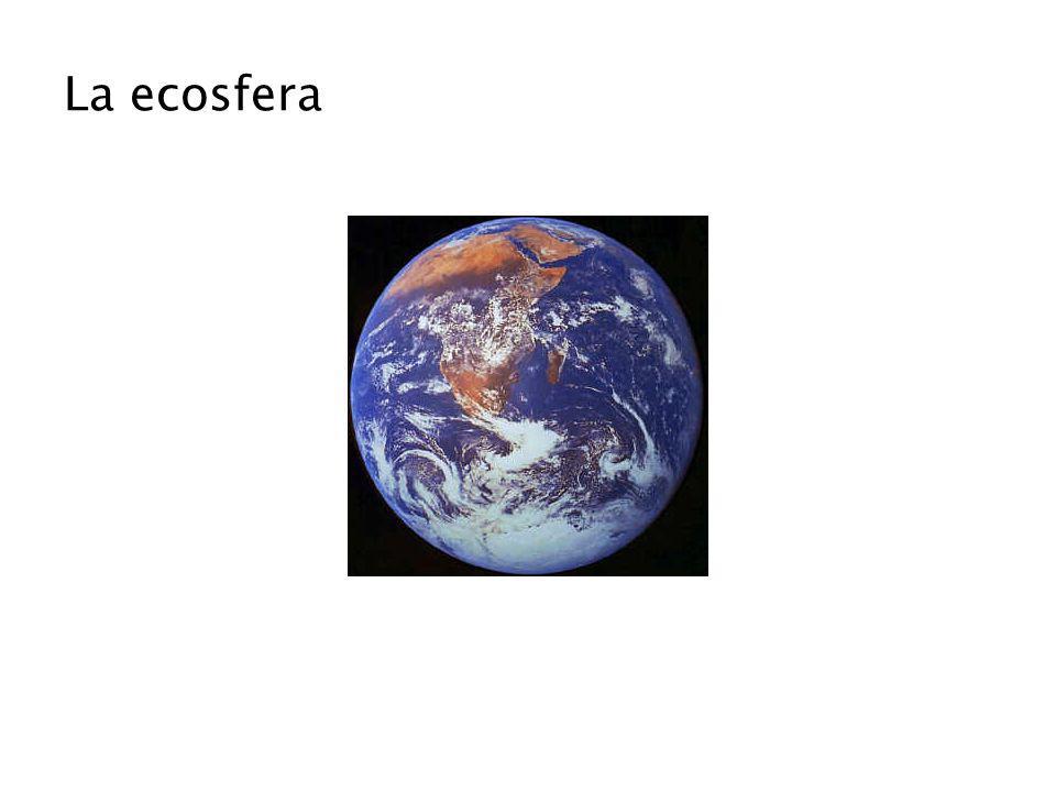 La ecosfera