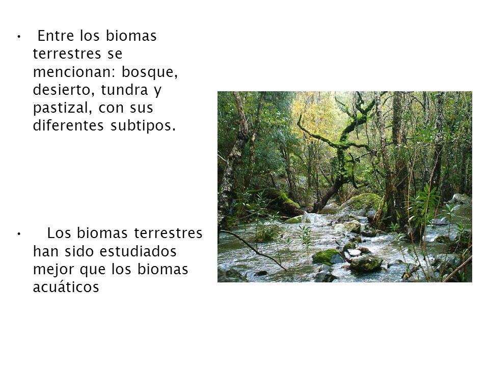 Entre los biomas terrestres se mencionan: bosque, desierto, tundra y pastizal, con sus diferentes subtipos.