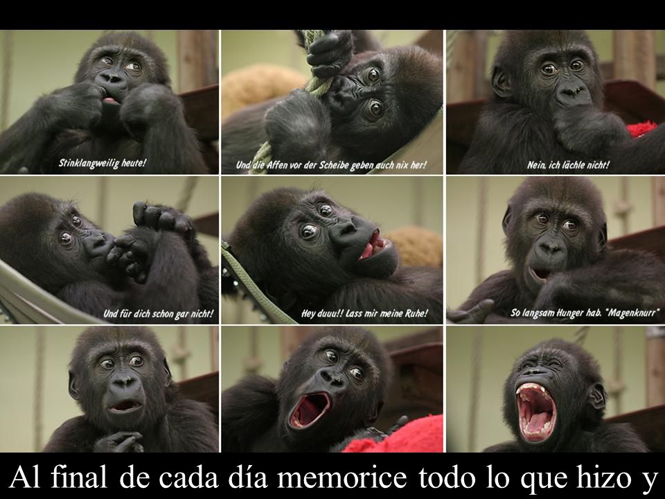 Al final de cada día memorice todo lo que hizo y