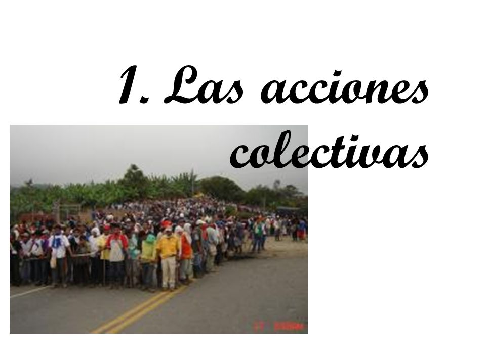 1. Las acciones colectivas