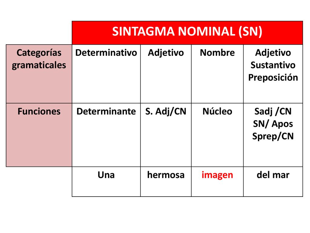 SINTAGMA NOMINAL (SN) Categorías gramaticales Determinativo Adjetivo