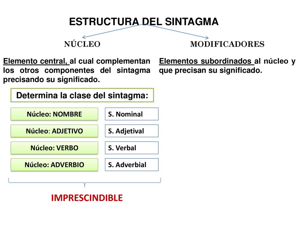 ESTRUCTURA DEL SINTAGMA Determina la clase del sintagma: