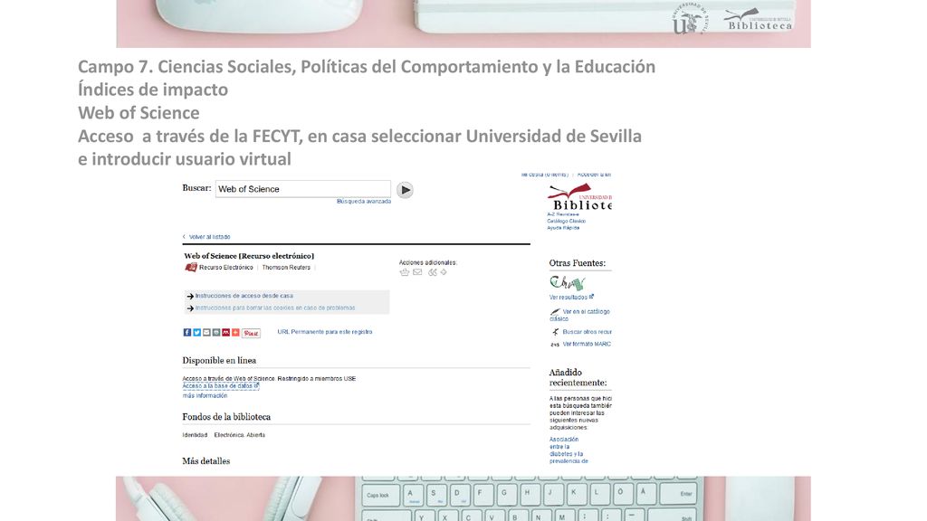 Campo 7. Ciencias Sociales, Políticas del Comportamiento y la Educación