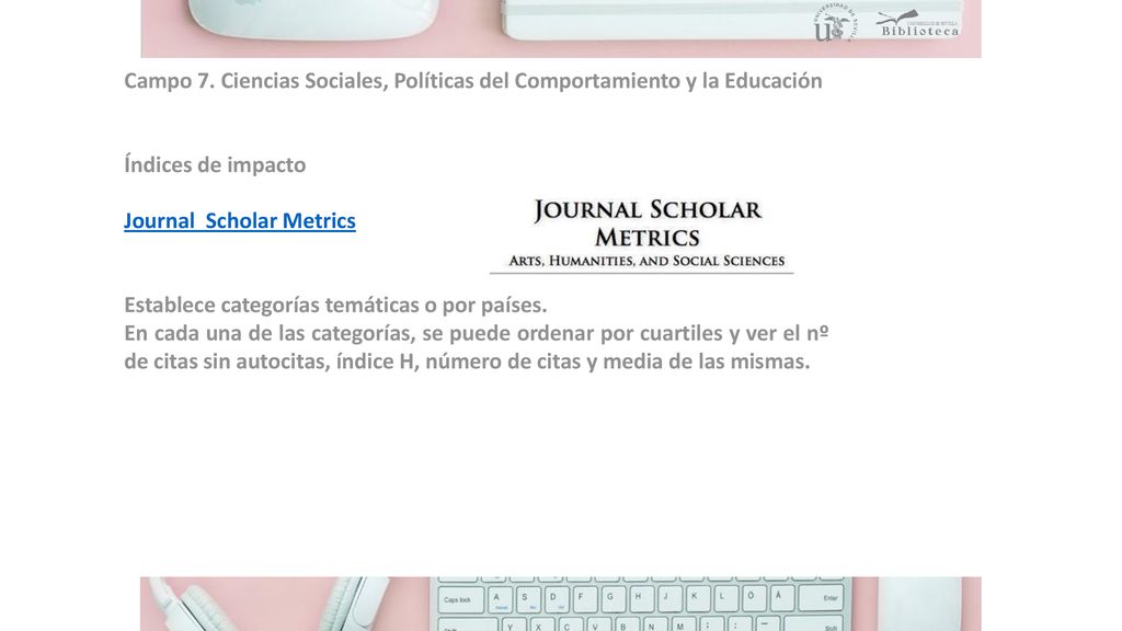 Campo 7. Ciencias Sociales, Políticas del Comportamiento y la Educación