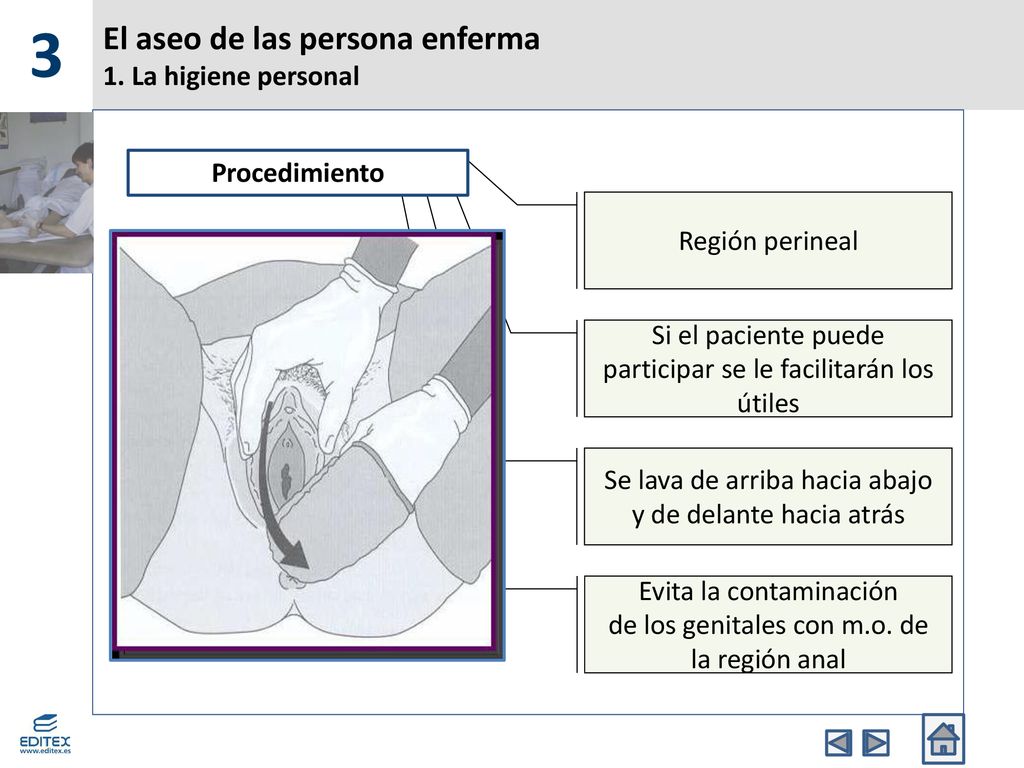 El aseo de las persona enferma 1. La higiene personal