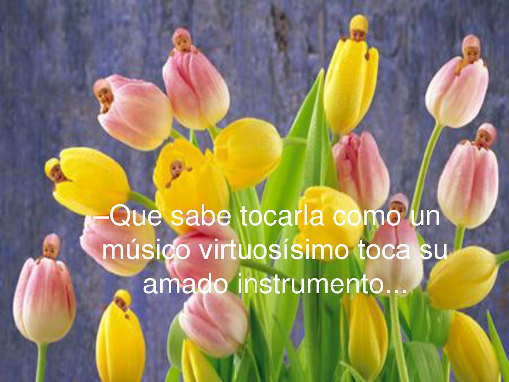 Que sabe tocarla como un músico virtuosísimo toca su amado instrumento...