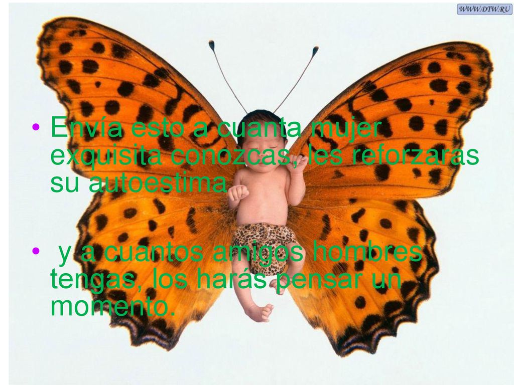 Envía esto a cuanta mujer exquisita conozcas, les reforzaras su autoestima