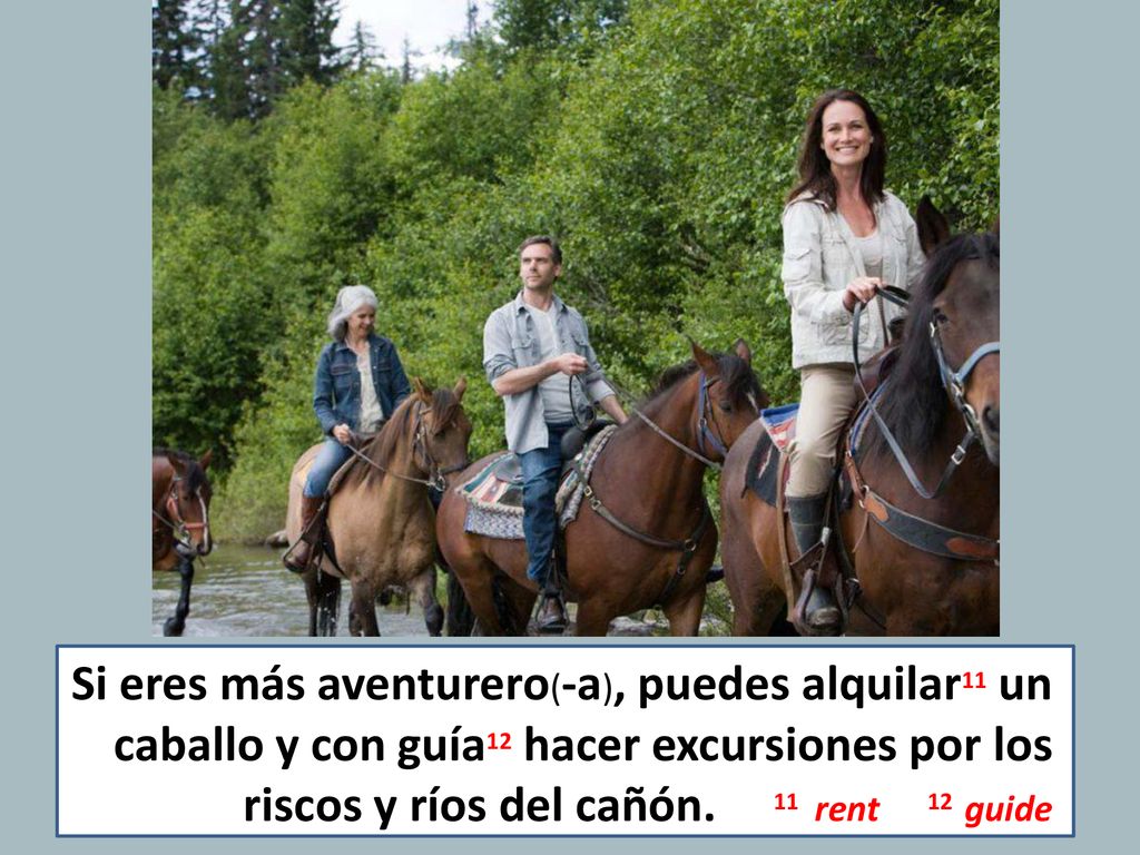 Si eres más aventurero(-a), puedes alquilar11 un caballo y con guía12 hacer excursiones por los riscos y ríos del cañón. 11 rent 12 guide