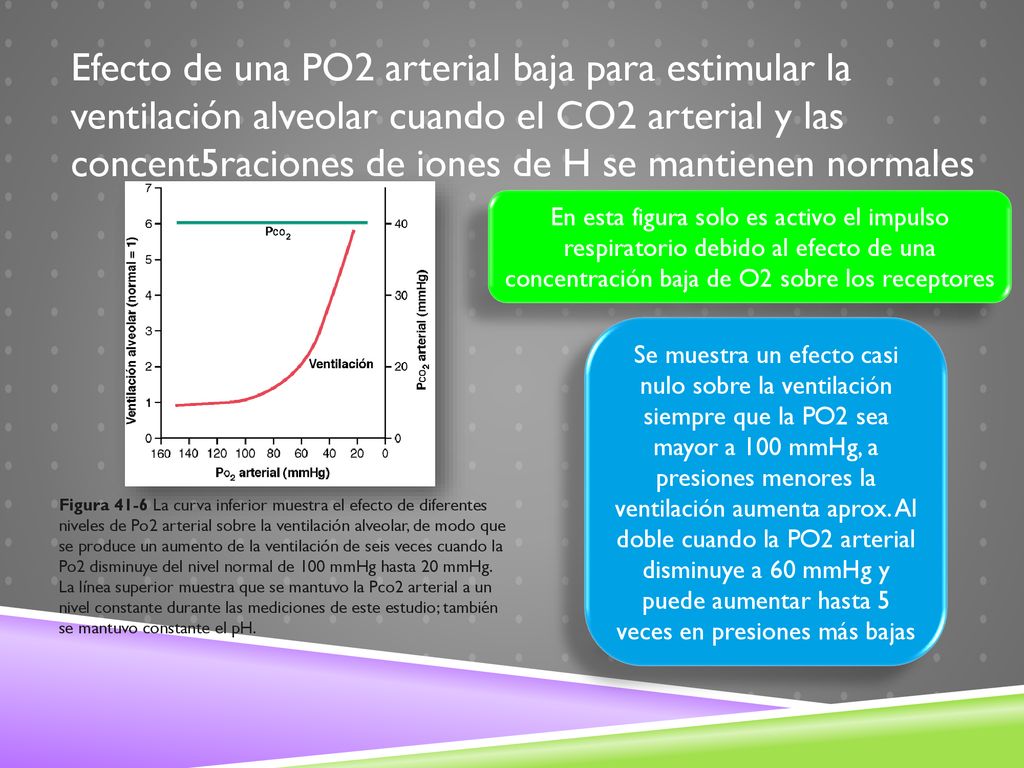 Efecto de una PO2 arterial baja para estimular la ventilación alveolar cuando el CO2 arterial y las concent5raciones de iones de H se mantienen normales