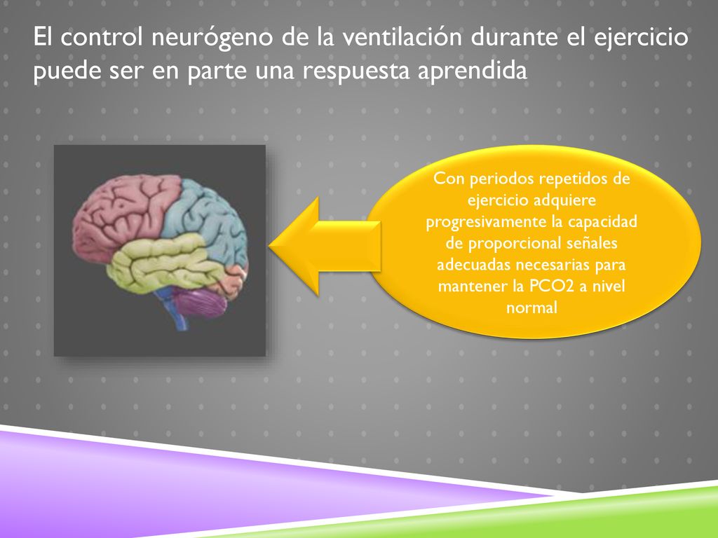 El control neurógeno de la ventilación durante el ejercicio puede ser en parte una respuesta aprendida