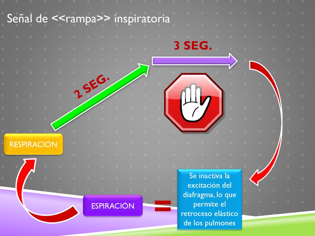 = Señal de <<rampa>> inspiratoria 3 SEG. 2 SEG.