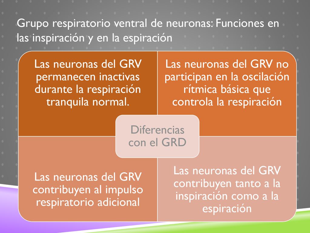 Las neuronas del GRV contribuyen al impulso respiratorio adicional