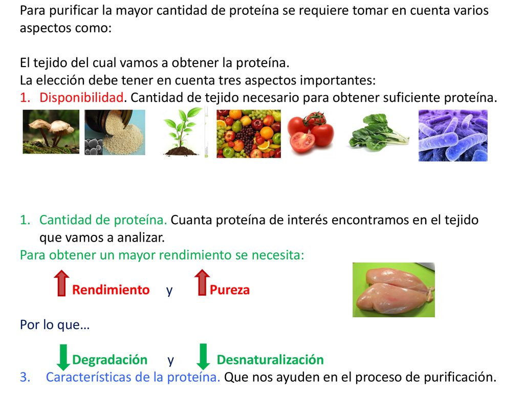Para purificar la mayor cantidad de proteína se requiere tomar en cuenta varios aspectos como: