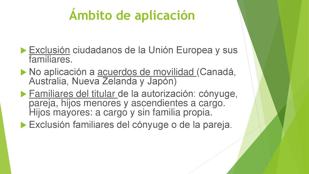 Ámbito de aplicación Exclusión ciudadanos de la Unión Europea y sus familiares.
