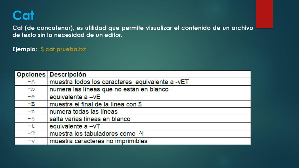 Cat Cat (de concatenar), es utilidad que permite visualizar el contenido de un archivo de texto sin la necesidad de un editor.