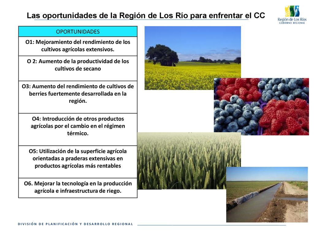 O1: Mejoramiento del rendimiento de los cultivos agrícolas extensivos.