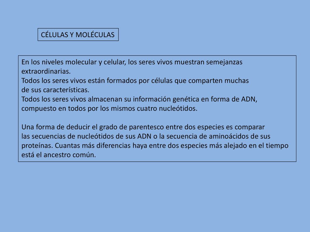 CÉLULAS Y MOLÉCULAS En los niveles molecular y celular, los seres vivos muestran semejanzas. extraordinarias.