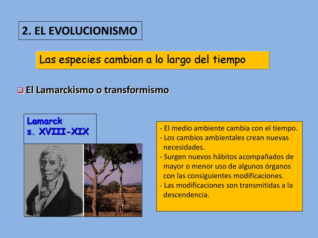 2. EL EVOLUCIONISMO Las especies cambian a lo largo del tiempo Lamarck