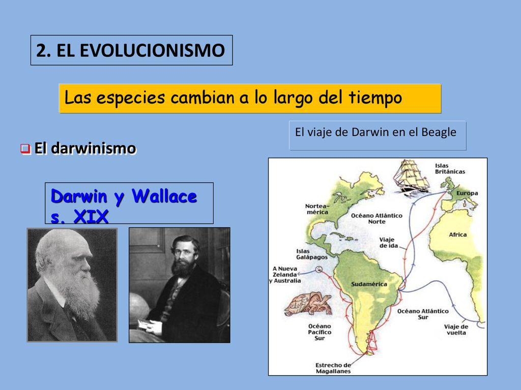 2. EL EVOLUCIONISMO Las especies cambian a lo largo del tiempo