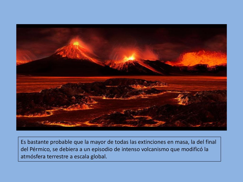 Es bastante probable que la mayor de todas las extinciones en masa, la del final