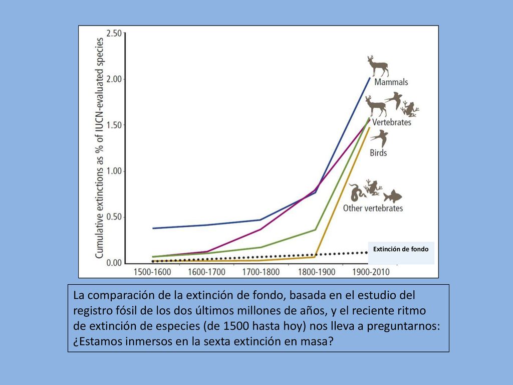 La comparación de la extinción de fondo, basada en el estudio del