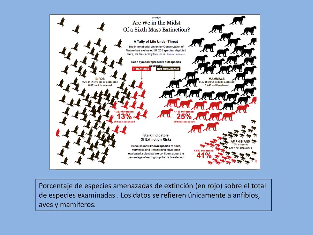 Porcentaje de especies amenazadas de extinción (en rojo) sobre el total