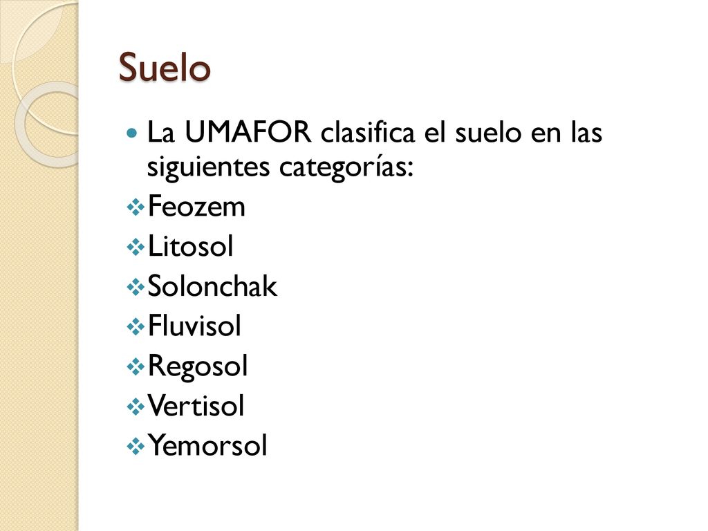 Suelo La UMAFOR clasifica el suelo en las siguientes categorías: