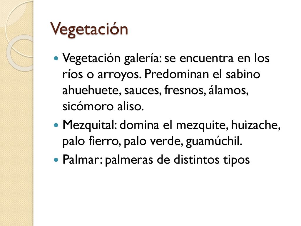 Vegetación Vegetación galería: se encuentra en los ríos o arroyos. Predominan el sabino ahuehuete, sauces, fresnos, álamos, sicómoro aliso.