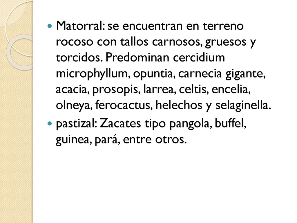 Matorral: se encuentran en terreno rocoso con tallos carnosos, gruesos y torcidos. Predominan cercidium microphyllum, opuntia, carnecia gigante, acacia, prosopis, larrea, celtis, encelia, olneya, ferocactus, helechos y selaginella.