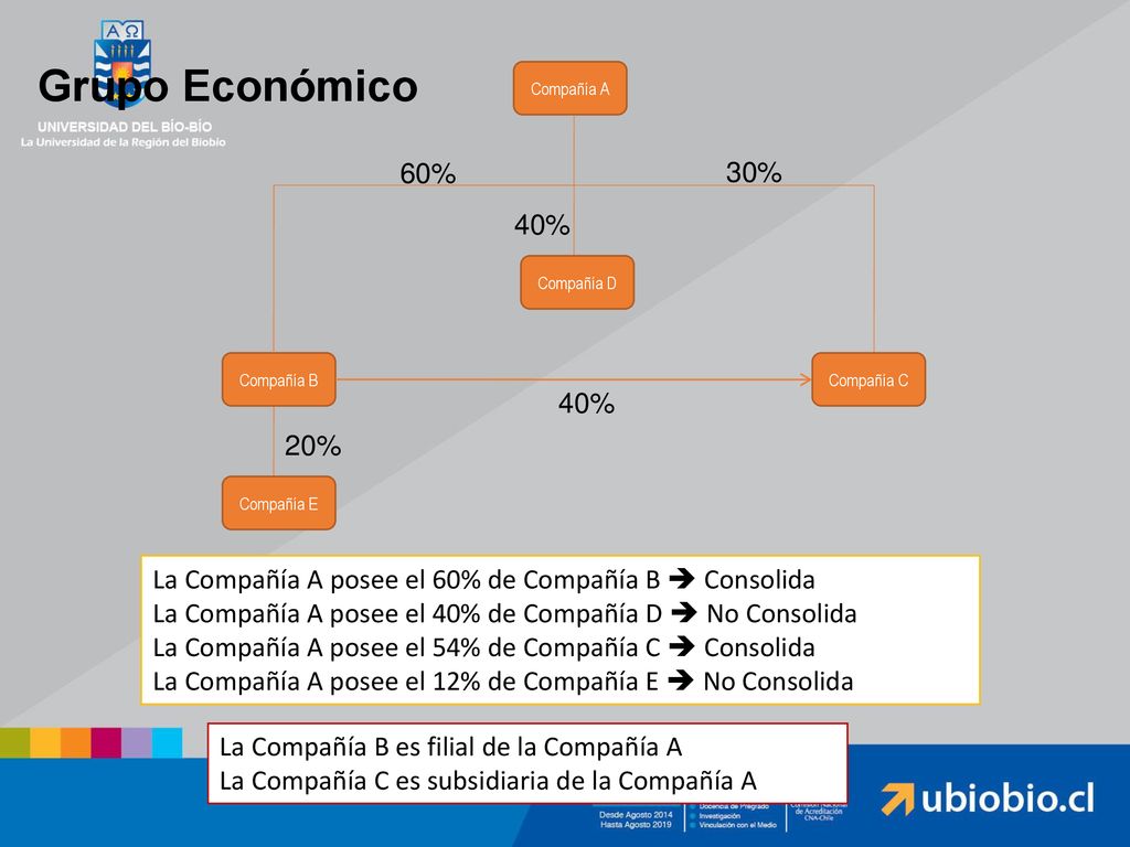 Grupo Económico Compañía A. 60% 30% 40% Compañía D. Compañía B. Compañía C. 40% 20% Compañía E.