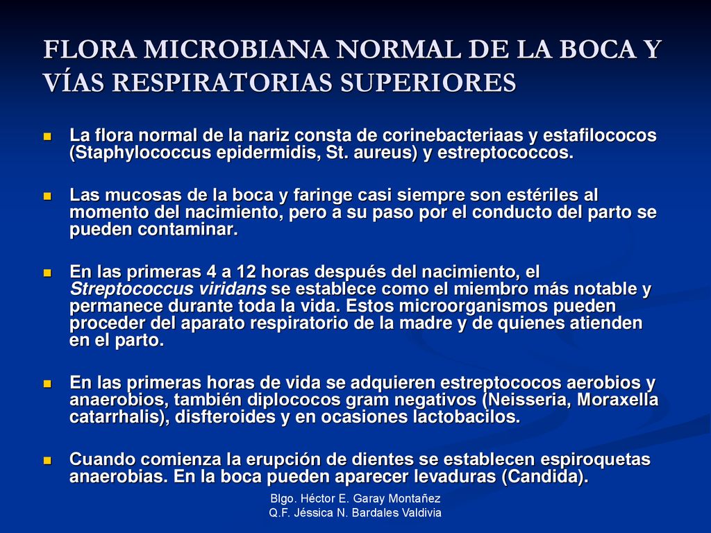 FLORA MICROBIANA NORMAL DE LA BOCA Y VÍAS RESPIRATORIAS SUPERIORES
