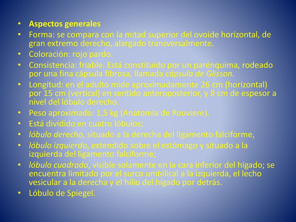 Aspectos generales Forma: se compara con la mitad superior del ovoide horizontal, de gran extremo derecho, alargado transversalmente.