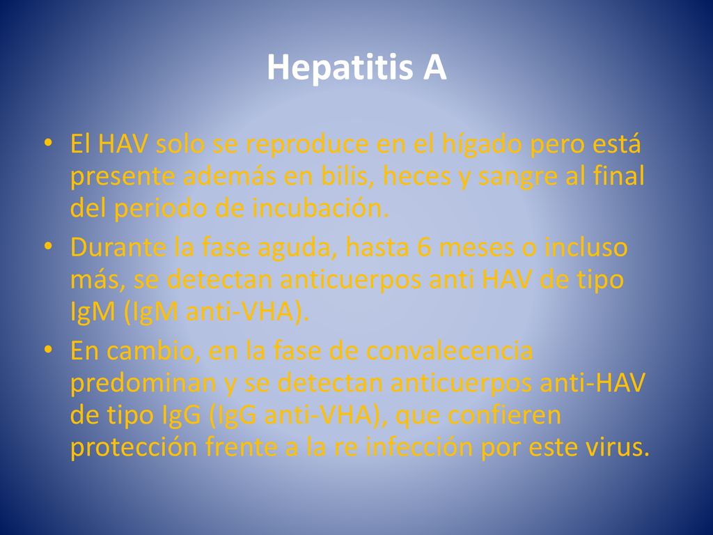 Hepatitis A El HAV solo se reproduce en el hígado pero está presente además en bilis, heces y sangre al final del periodo de incubación.