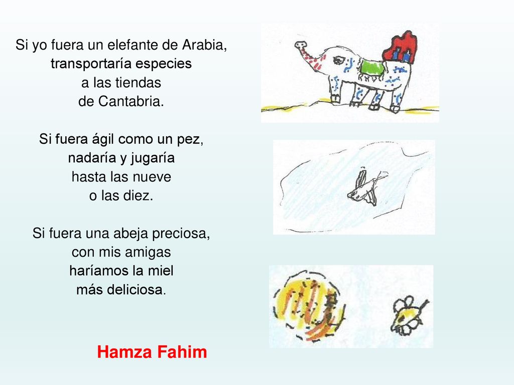 Hamza Fahim Si yo fuera un elefante de Arabia, transportaría especies