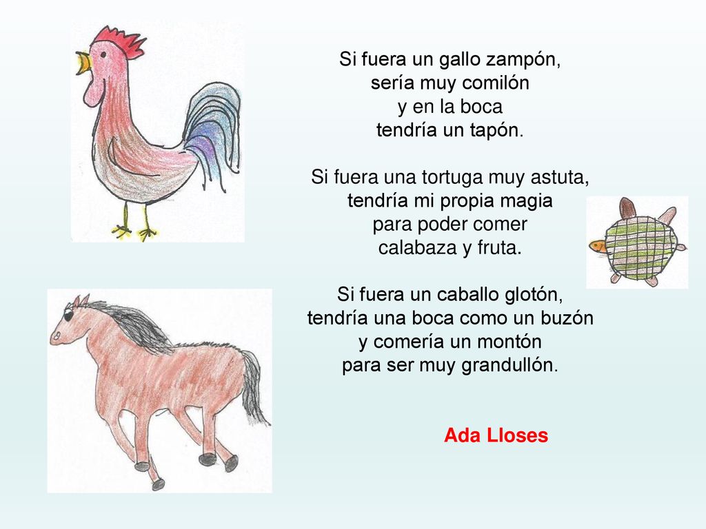 Si fuera un gallo zampón, sería muy comilón y en la boca