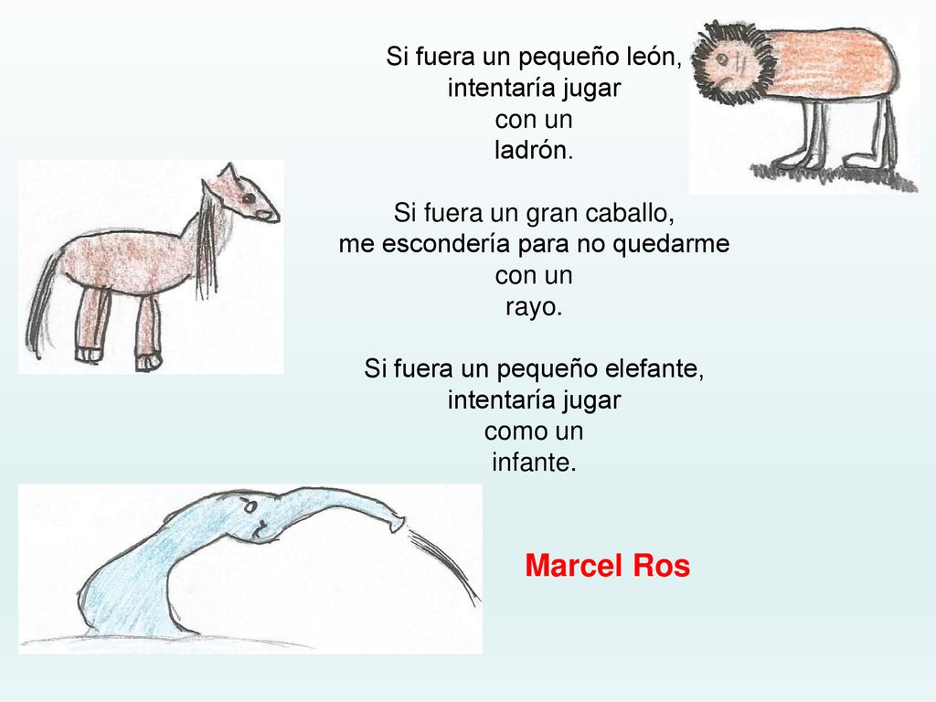 Marcel Ros Si fuera un pequeño león, intentaría jugar con un ladrón.