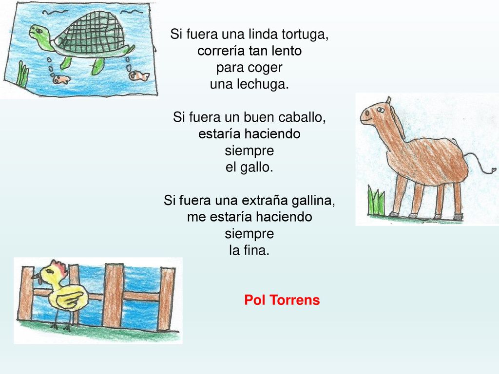 Si fuera una linda tortuga, correría tan lento para coger una lechuga.