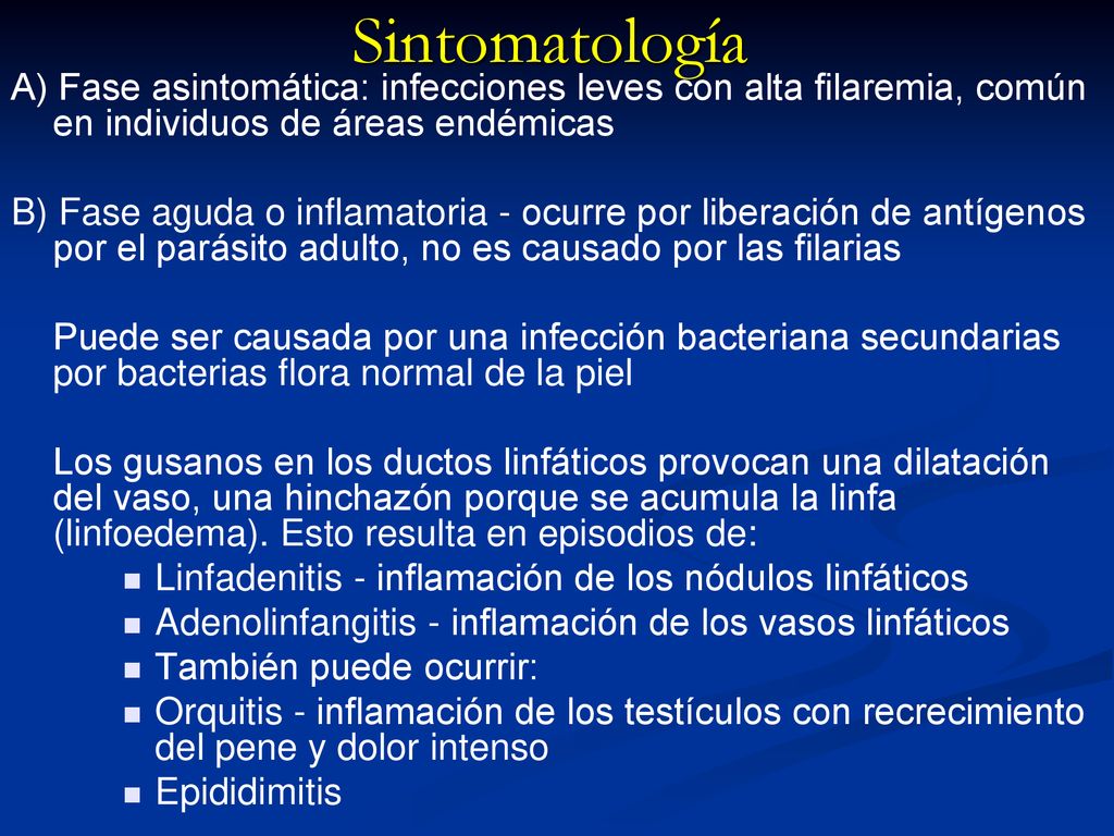 Sintomatología A) Fase asintomática: infecciones leves con alta filaremia, común en individuos de áreas endémicas.