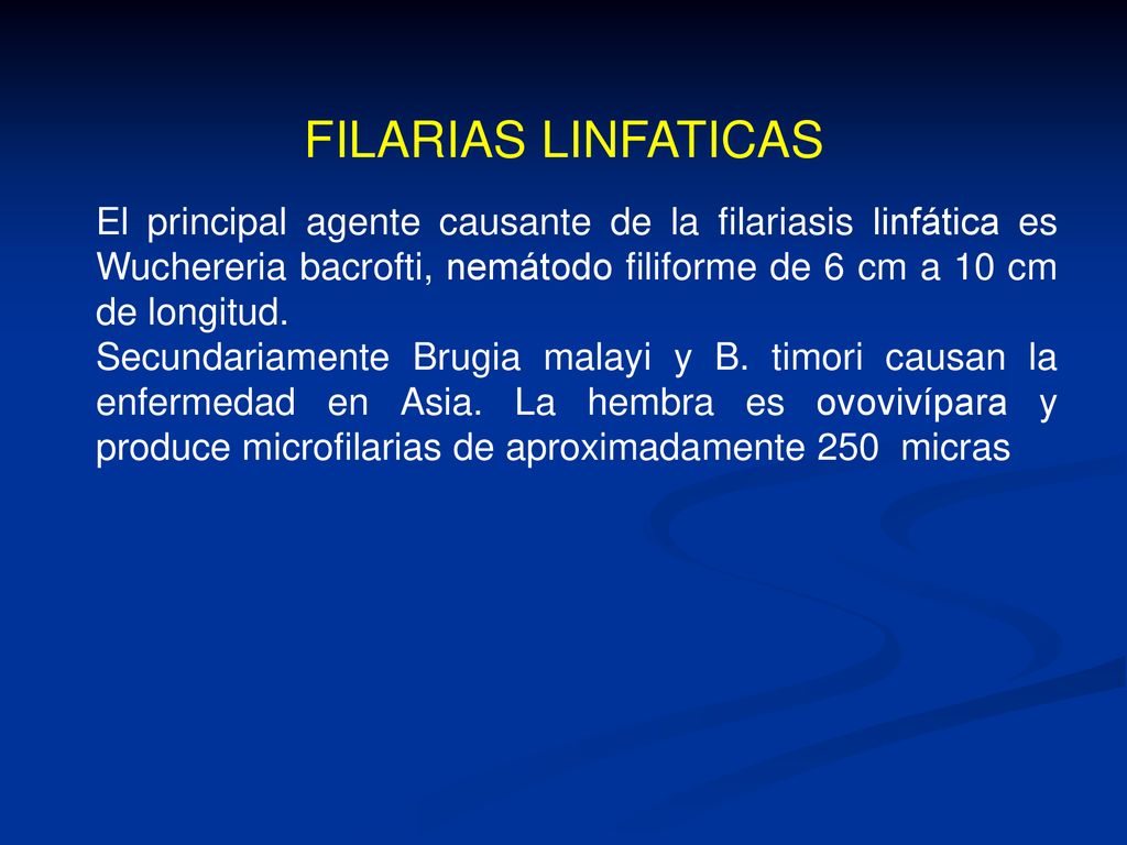 FILARIAS LINFATICAS El principal agente causante de la filariasis linfática es Wuchereria bacrofti, nemátodo filiforme de 6 cm a 10 cm de longitud.