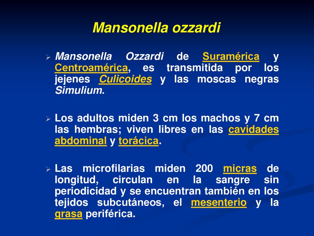 Mansonella ozzardi Mansonella Ozzardi de Suramérica y Centroamérica, es transmitida por los jejenes Culicoides y las moscas negras Simulium.