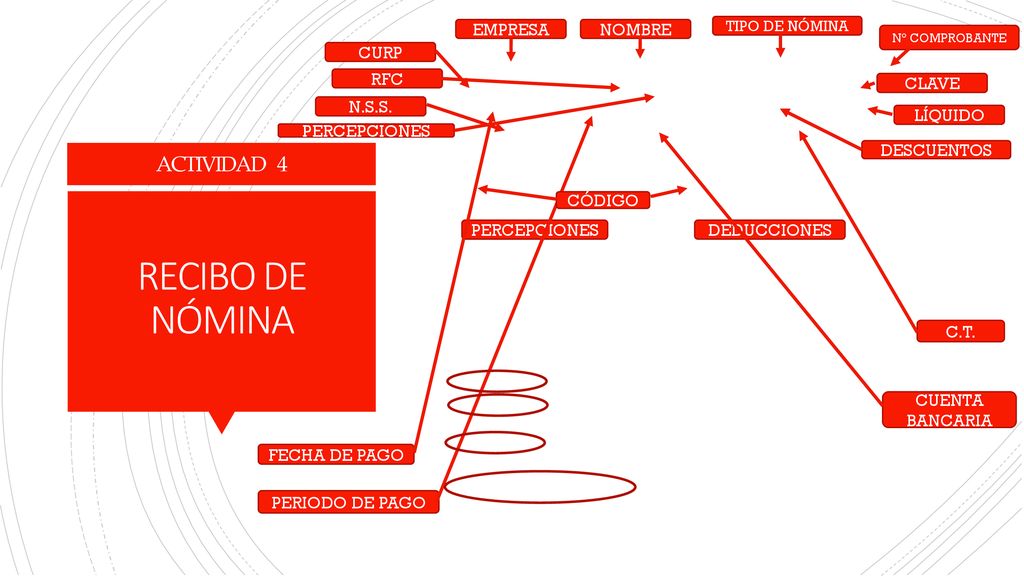 RECIBO DE NÓMINA ACTIVIDAD 4 EMPRESA NOMBRE CURP RFC CLAVE