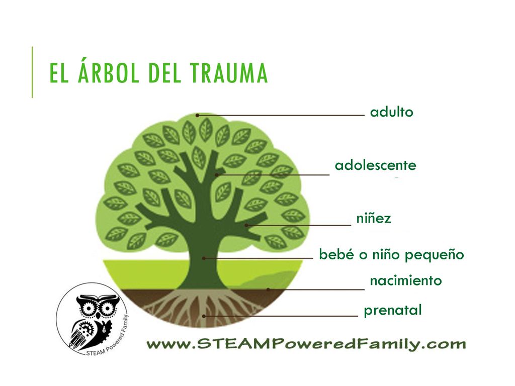 El árbol del trauma adulto adolescente niñez bebé o niño pequeño