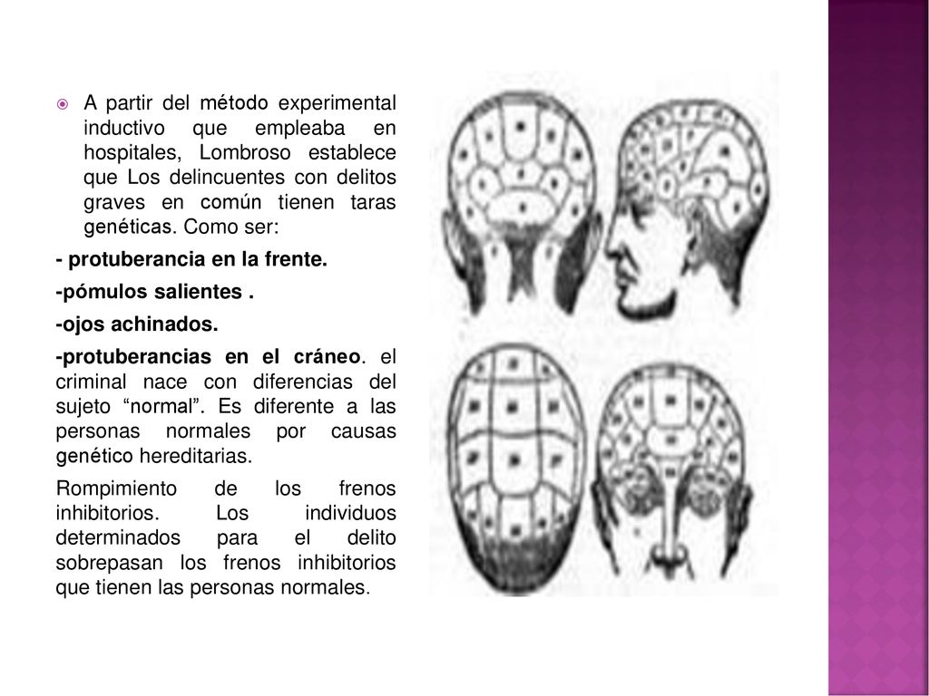 A partir del método experimental inductivo que empleaba en hospitales, Lombroso establece que Los delincuentes con delitos graves en común tienen taras genéticas. Como ser: