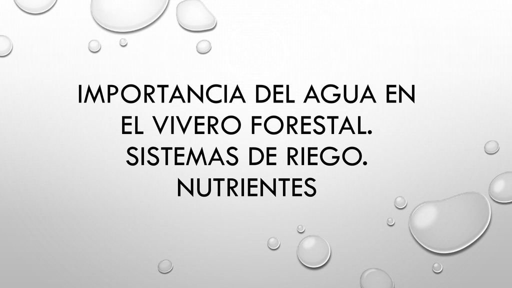 Importancia del agua en el vivero forestal. Sistemas de riego