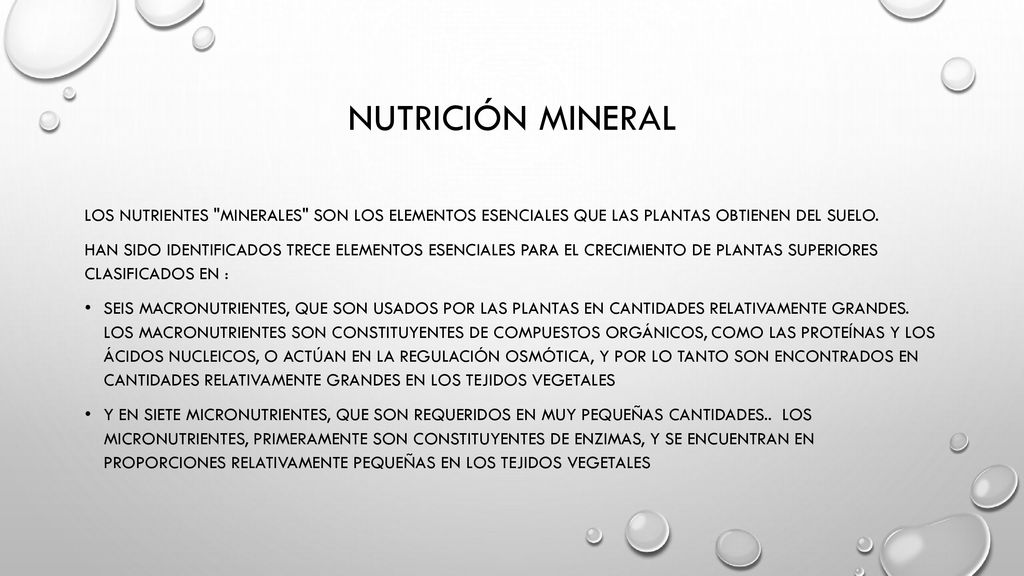 Nutrición mineral los nutrientes minerales son los elementos esenciales que las plantas obtienen del suelo.