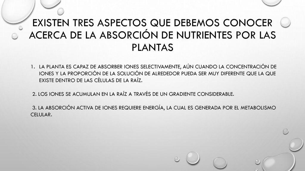 Existen tres aspectos que debemos conocer acerca de la absorción de nutrientes por las plantas